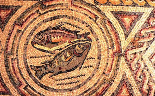 W tym opracowaniu i w kolejnym, planowanym w następnym wydaniu Wiadomości Rybackich, przedstawiona zostanie podstawowa terminologia dotycząca ryb i rybołówstwa morskiego w kontekście historycznego