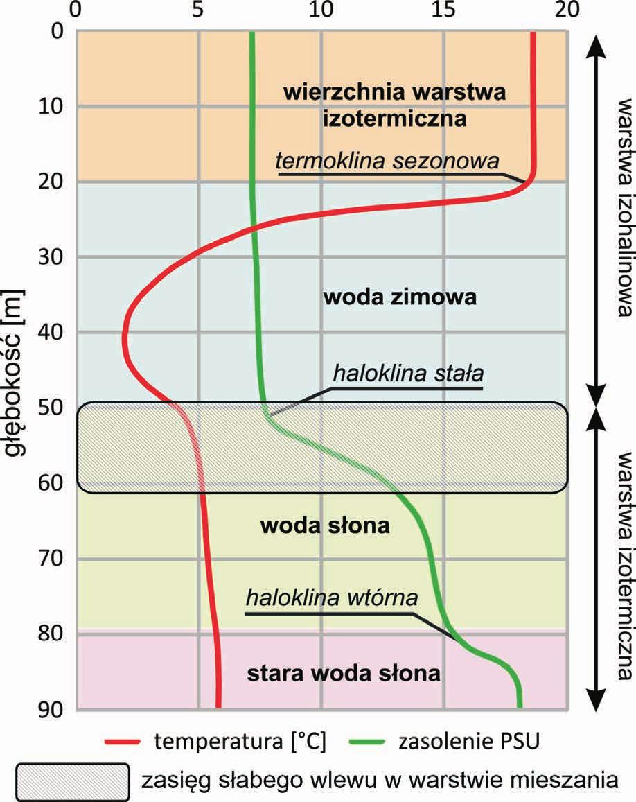 Szproty o najmniejszej długości złowiono w 26 podobszarze ICES. W kierunku zachodnim (kolejno 25 i 24 podobszar ICES) występowały szproty o coraz większej długości.