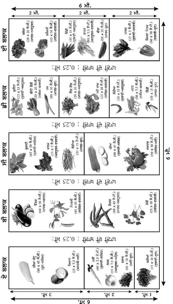 37. sbziaw di q`q BrpUr Gr bgici mmfikrn lei pydw kiqiaw sbziaw iv`c kivy-mkovy Aqy ibmwriaw qon bcwaux lei kit nwskw di bylovi vrqon kiqi jwdi hy[ pr qwzi, q`q BrpUr Aqy kit nwskw di G`to G`t vrqon