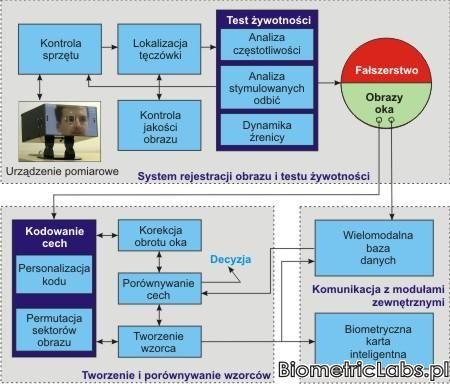 20/54 System