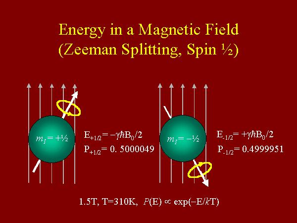 Energia potencjalna magnetycznego momentu dipolowego r w zewnętrznym polu magnetycznym B r µ : r r U = µ o B W zewnętrznym polu magnetycznym rozszczepienie poziomów