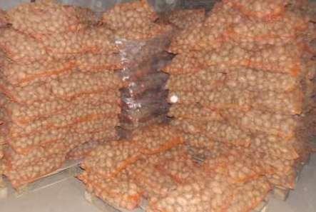 ziemniaka i