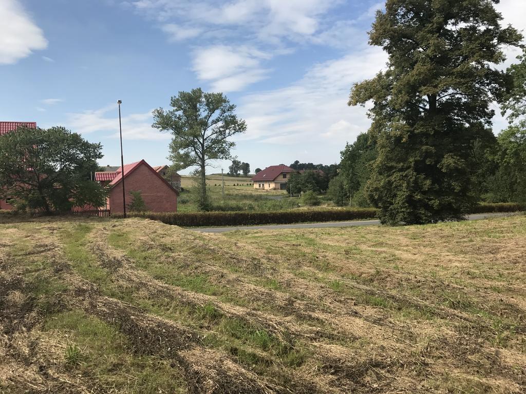 POW. 2800 mkw, POŁOŻONA W RADOSTÓW DOLNY DZIAŁKA BUDOWLANA O Do sprzedania działka budowlana położona w miejscowości Radostów Dolny.