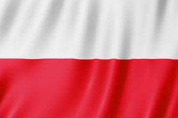 Rok 018 wyznacza rocznicę szczególną jest to bowiem już setna rocznica odzyskania przez Polskę niepodległości.