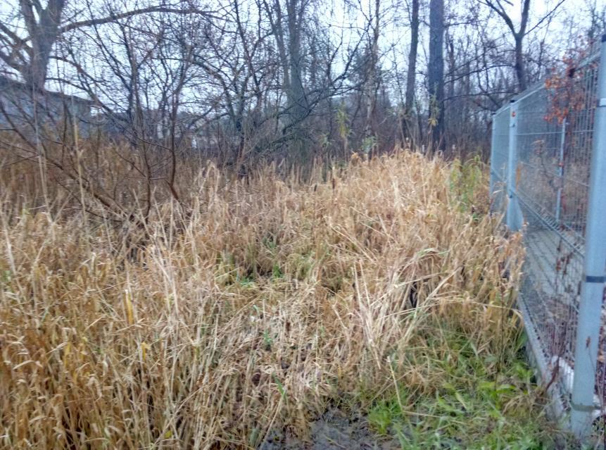 wyniki badań gruntowo wodnych na terenie budowy dla potrzeb posadowienia obiektów, inwentaryzację zieleni, inwentaryzację lub dokumentację obiektów budowlanych, porozumienia, pozwolenia oraz warunki