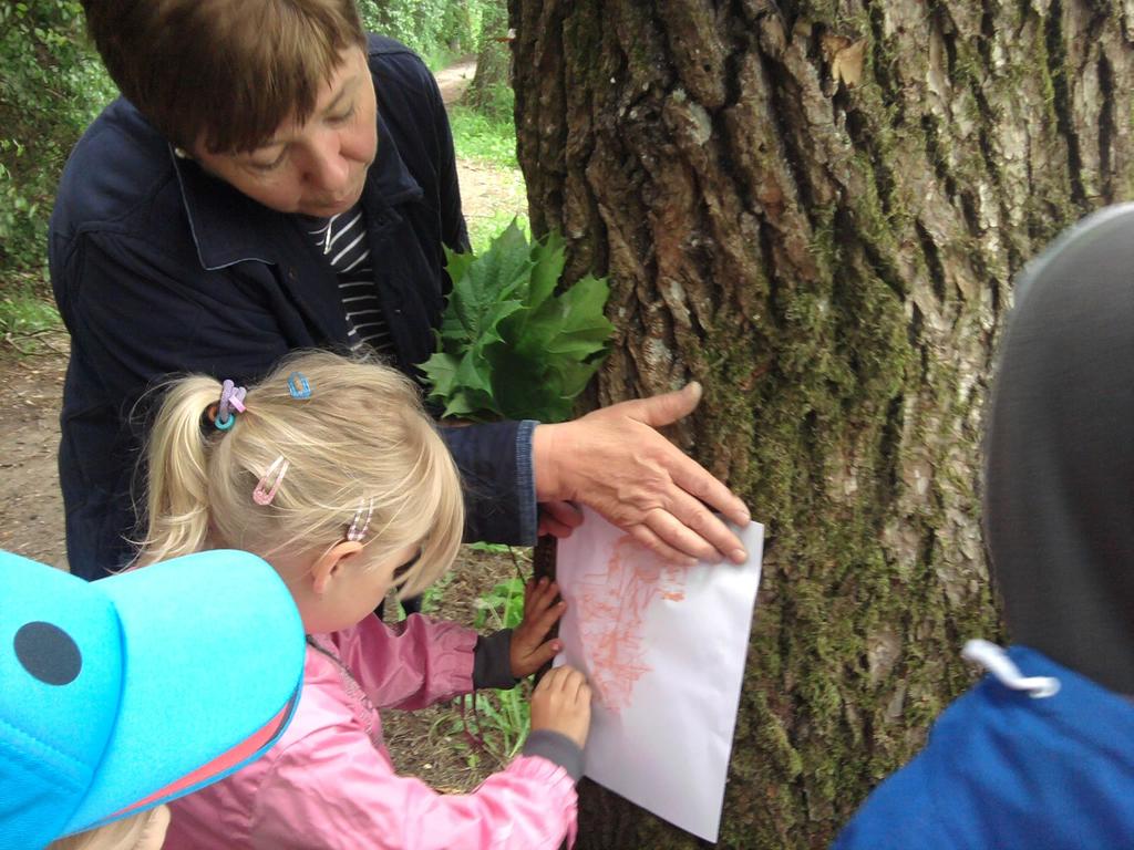 Najstarsza grupa z naszego przedszkola wzięła udział w ogólnopolskiej kampanii edukacyjnej Ministerstwa Środowiska w programie LEKCJE Z NATURY.