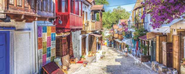 At the top of the list of meals under grape leaves, and Nereid Meyhanesi, which is converted from an old Greek house and is famous for