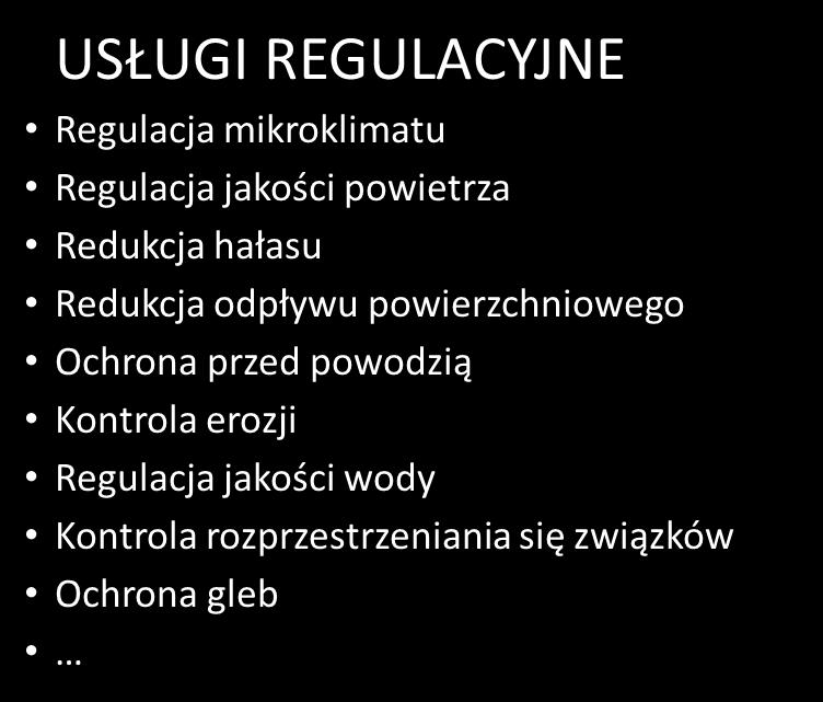 Metoda badań Oceny eksperckie Istniejące dane USŁUGI KULTUROWE REKREACJA INTEGRACJA SPOŁECZNA Jakość wypoczynku Sprzyjanie integracji społecznej wyposażenie konflikty między