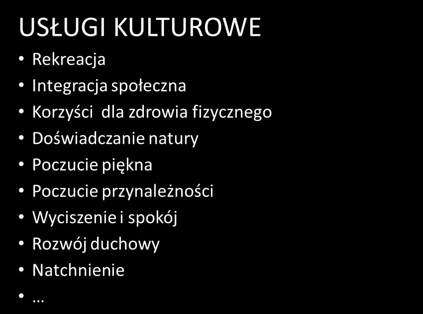 DOŚWIADCZANIE NATURY POCZUCIE PIĘKNA POCZUCIE PRZYNALEŻNOŚCI stopień naturalności roślinności Funkcjonowanie przyrodnicze i ochrona siedliska dla dzikiej fauny dziedzictwa