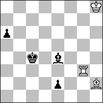ciężkich figur, które tylko zapobiegają ubocznym rozwiązaniom. a) 1.Sfe5 b:c3+ 2.Kc5 Hc7# b)1.sge5 b4 2.Kd5 Hd3#.