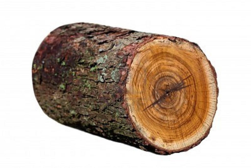 Spojitost významu špalek?