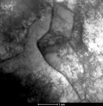 Many grain boundaries in the sample presented rounded shapes resembling an arched recrystallization front and many had sharp shapes resulting from displacements of a large number
