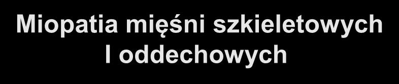 szkieletowych I