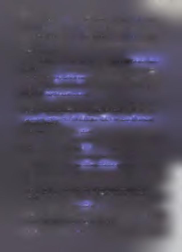II. Dom o p o w i e r z c h n i m 2, o wartości:... * tytuł prawny:... 2. Mieszkanie o p owierzchnim2, o wartości:... tytuł prawny:... 3.