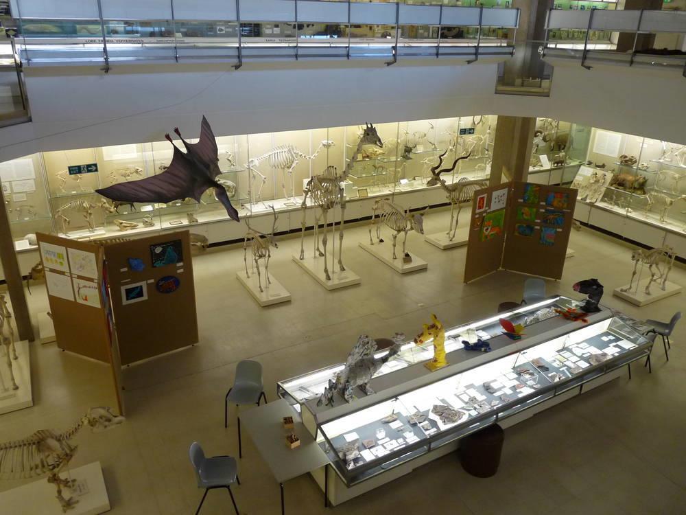 MUZEUM