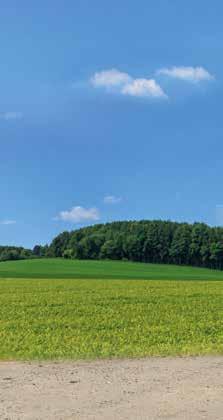 Chwytak do balotów foliowanych Twoje ofoliowane baloty pozostaną nienaruszone.