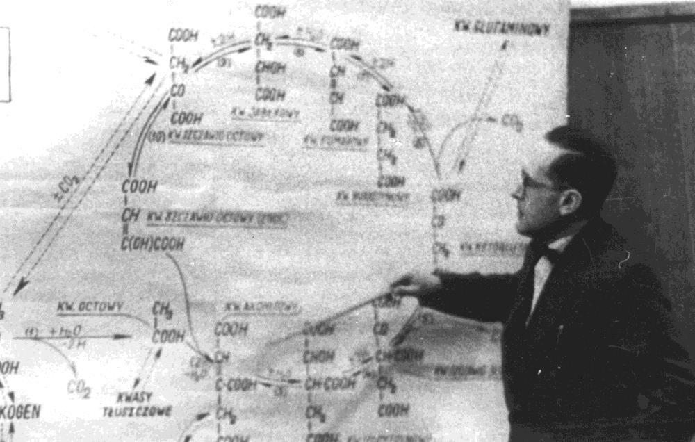Morawieckiego krystalizacja kinazy pirogronianowej (rok 1973) - Andrzeja Dżugaja, Mariana Kochmana krystalizacja aldolazy (rok