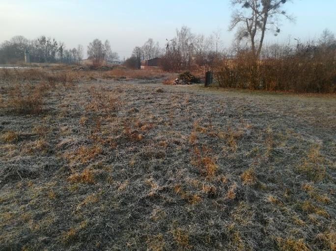 Zdjęcie 3. Przestrzeń zdegradowana w miejscowości Zalesie Źródło: Urząd Gminy Chełmża. Na wniosek mieszkańców w dniu 30 kwietnia 2015 r.