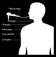 Diagnostyka raka płuca Badanie podmiotowe i przedmiotowe (zgłaszane objawy, narażenie na czynniki szkodliwe)