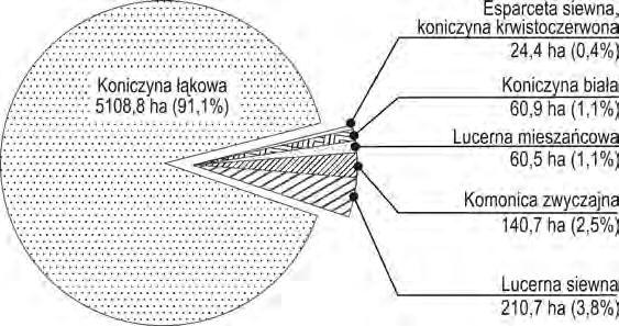 W Polsce największe znaczenie w uprawie mają koniczyna łąkowa (koniczyna czerwona) i lucerna siewna.