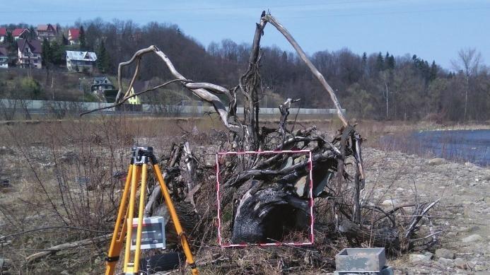 A - rumosz 1 / woody debris 1 D - rumosz 4 / woody debris 4 B - rumosz 2 / woody debris 2 E - rumosz 5 / woody debris 5 C - rumosz 3 /