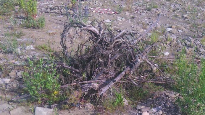 Próbę materiału o uziarnieniu mniejszym od 2 mm przewieziono do Laboratorium Geotechnicznego Katedry Inżynierii Wodnej i Geotechniki