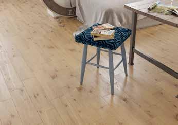Forestina Beige Forestina Dark Beige.