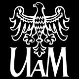 Po co nam SEM?