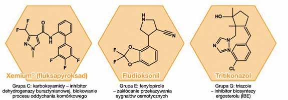 narzędziem w walce przeciwko wytwarzaniu się odporności patogenów na fungicydy.