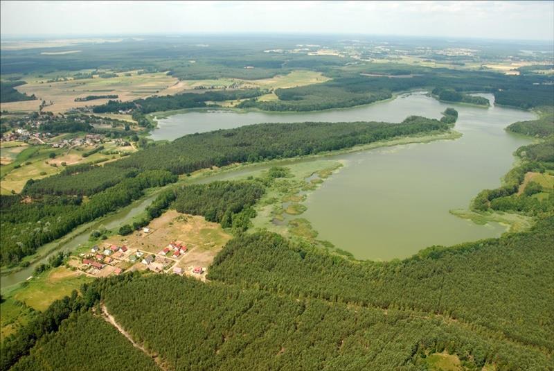 Załącznik do Uchwały III/30/2019 Rady Miejskiej w Trzcielu z dnia 30.01.2019r.