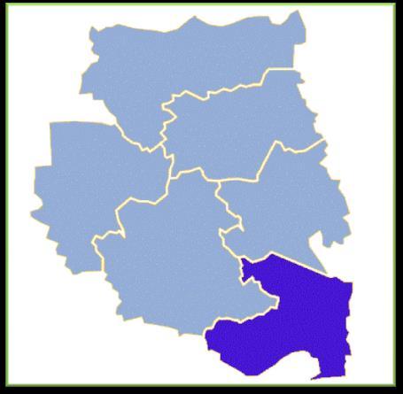 3. Charakterystyka Gminy Trzciel 3.