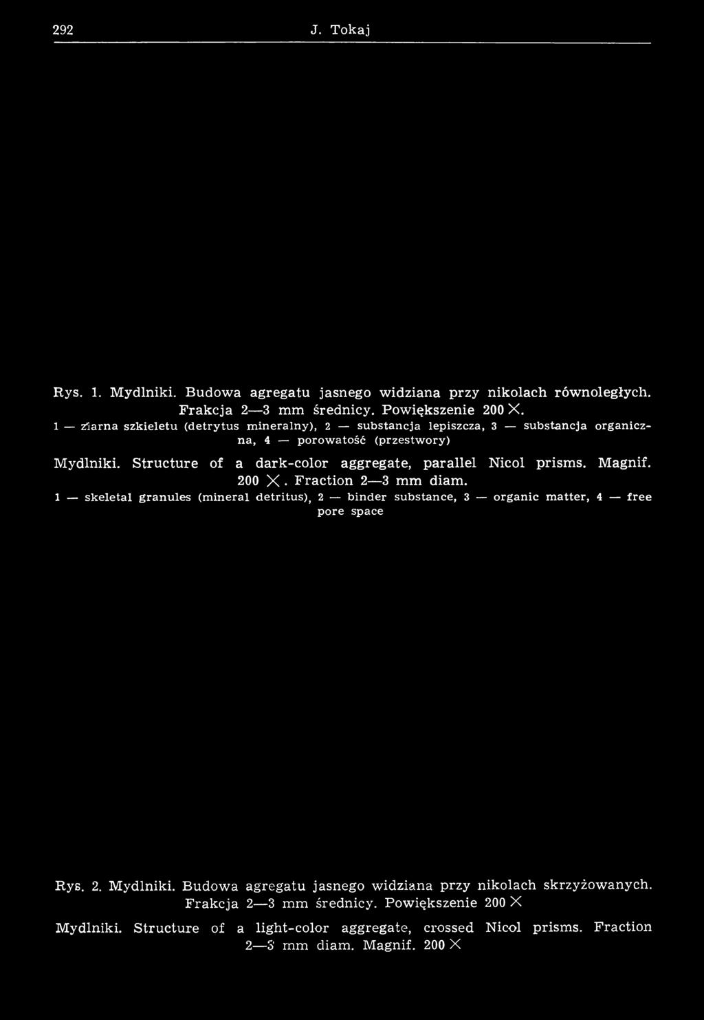 S tru c tu re of a dark-color aggregate, p arallel Nicol prism s. M agnif. 200 X. F raction 2 3 mm diam.
