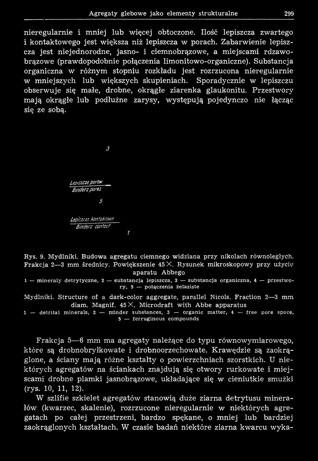 Substancja organiczna w różnym stopniu rozkładu jest rozrzucona nieregularnie w mniejszych lub większych skupieniach. Sporadycznie w lepiszczu obserwuje się małe, drobne, okrągłe ziarenka glaukonitu.
