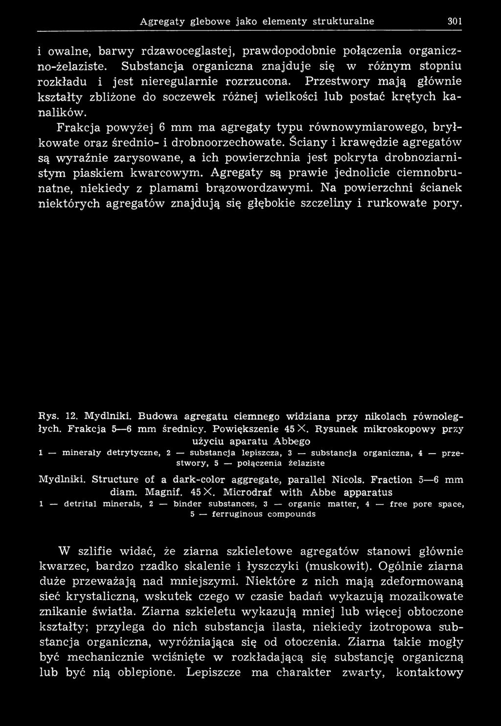 A gregaty glebow e jako elem enty strukturalne 301 i owalne, barwy rdzawoceglastej, prawdopodobnie połączenia organiczno-żelaziste.