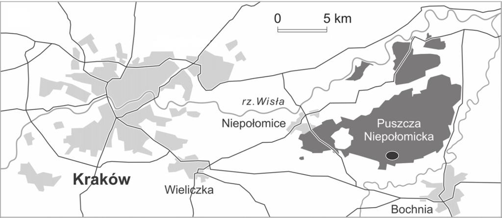 126 ROCZNIKI BIESZCZADZKIE 26 (2018) pogeniczne przekształcenia spowodowały znaczne zmiany puszczy pierwotnej (Smólski 1981).