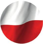 Dachy i boki Występujące w zestawach elementy typu daszki, boki wież wykonane