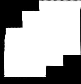 bekon
