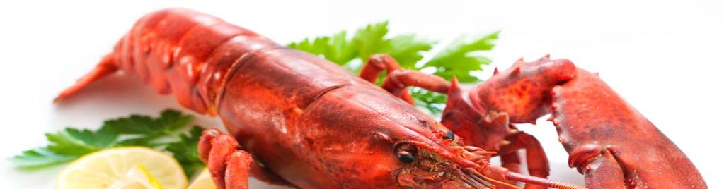 LOBSTERS HOMARY ASTICE HOMAR 2 za 100g LINGUINE ALL' ASTICE Homar serwowany z makaronem linguine w sosie z pomidorków koktajlowych z czosnkiem i pietruszką ASTICE ALLA GRIGLIA Grillowany homar
