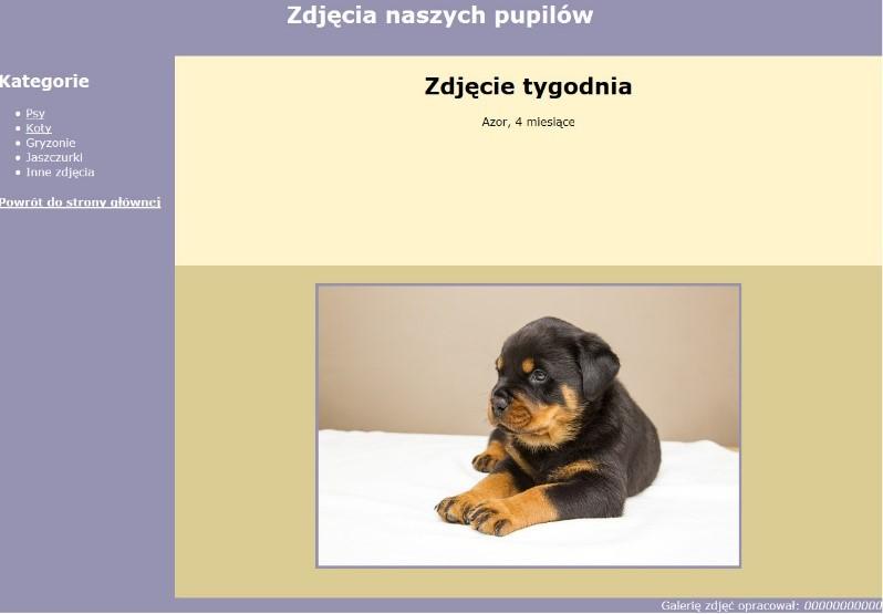 Witryna internetowa Obraz 2a. Strona główna witryny Obraz 2b. Podstrona psy, najechano kursorem na obraz pies3.jpg Cechy witryny: Strona główna o nazwie index.html oraz podstrony psy.html i koty.