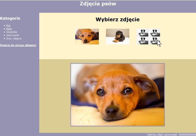 css prawidłowo połączony z kodem strony Podział strony na bloki: baner, poniżej panel lewy, dwa panele prawe ułożone jeden pod drugim oraz na dole stopka.