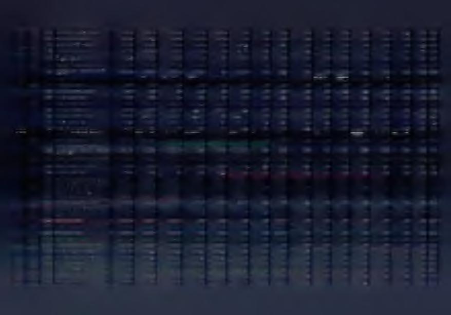 283,00 283,00 0,00 283,00 0,00 100,00 80195 Pozostała działalność 20 621,00 20 620,90 20 620,90 20 620,90 0,00 20 620,90 0,00 100,00 4440 Odpisy na zakładowy fundusz świadczeń socjalnych 20 621,00 20