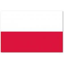 REGIONALNE w PARAUJEŻDŻENIU Kategoria: Seniorzy U25 Młodzi Jeźdźcy Juniorzy Dzieci Juniorzy młodsi Młodzicy I.