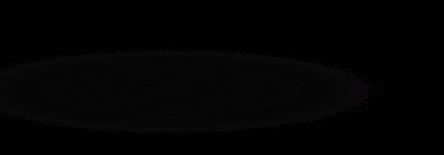 599 22,17/ 499 180 g