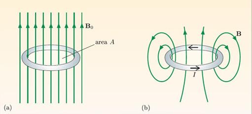 R = 0 - konsekwencje SB + LI =