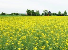 innymi w województwach: dolnośląskim, lubuskim,