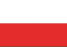 INSTRUKCJA Koniecznie