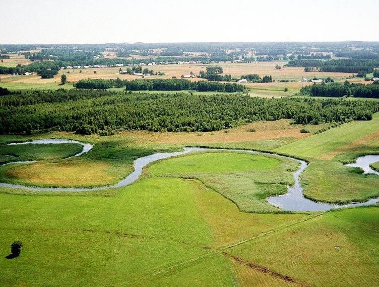 Biebrza jest prawostronnym dopływem Narwi o długości 155,3 km. Biebrza posiada charakter rzeki nizinnej z licznymi meandrami i starorzeczami.