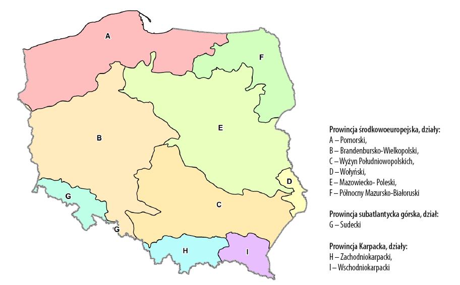 Regionalizacja przyrodniczo-leśna na tle innych podziałów Zróżnicowanie środowiska przyrodniczego Polski Główne jednostki