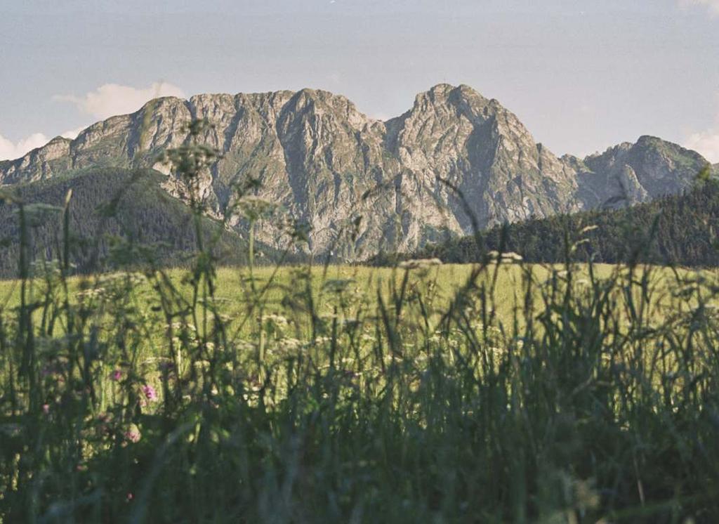 Fot. Donata Lesińska Miejsce Czas Ludzie Pasje ZAKOPANE Wystawa: 28.06-12.07.2014 r.