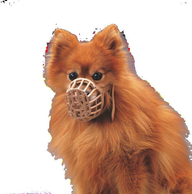 KAGANIEC PLASTIKOWY DLA PSA Plastikowy kaganiec z paskiem skórzanym (różne rozmiary) oraz plastikowy kaganiec z paskiem skórzanym typu BOXER dla psów brachycefalicznych (dwa rozmiary).
